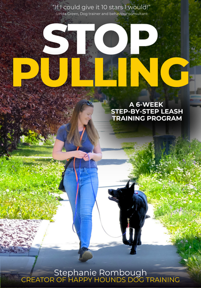 Stop Pulling: A 6-Week Step-by-Step Leash Training Program (DIGITAL VERSION)
