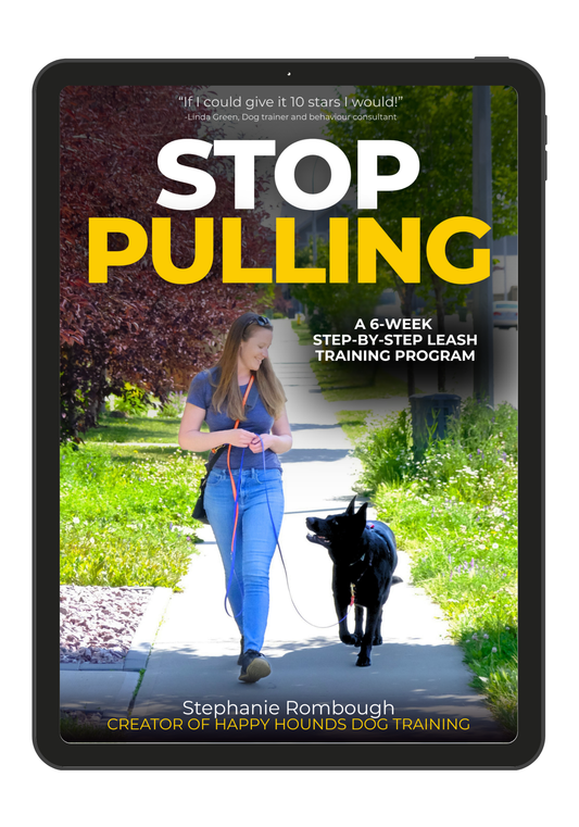 Stop Pulling: A 6-Week Step-by-Step Leash Training Program (DIGITAL VERSION)