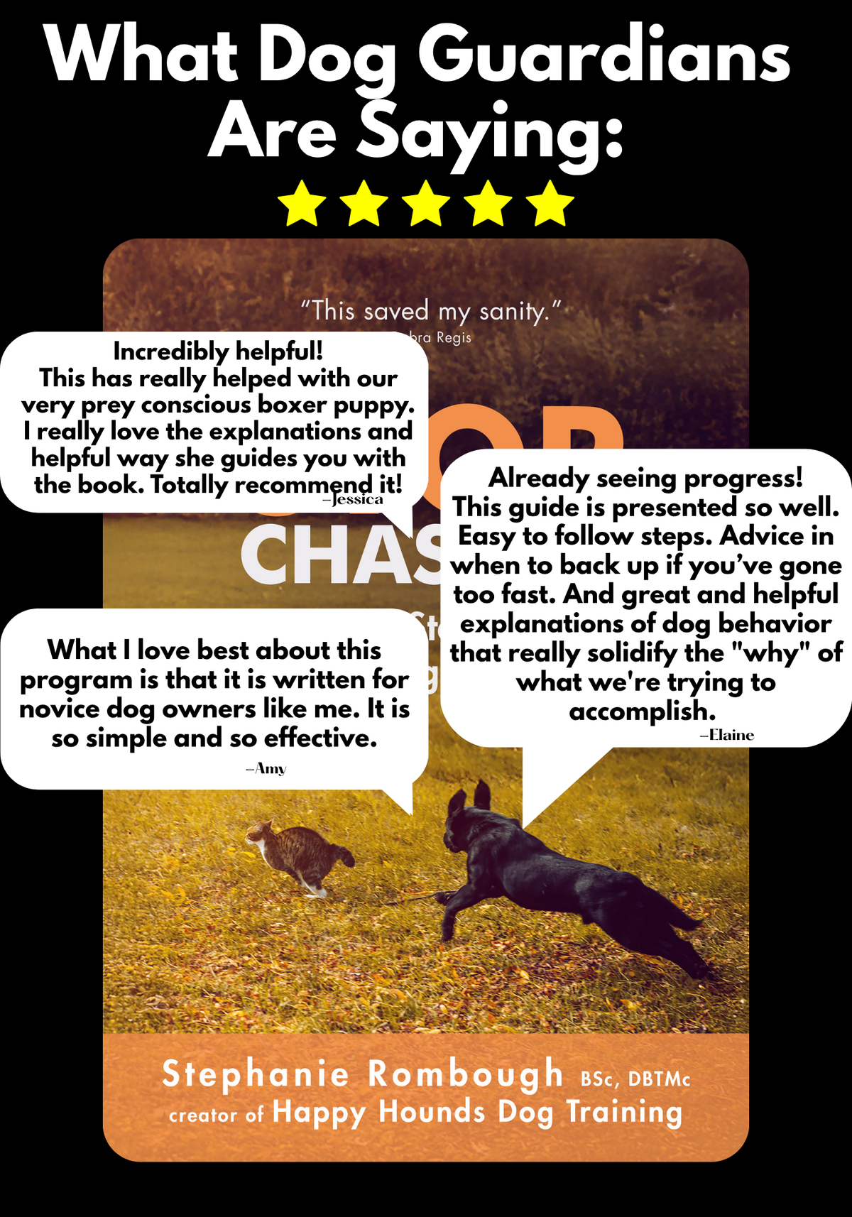 Stop Chasing: A Step-By-Step Guide to Solving Dog Prey Drive (DIGITAL VERSION)