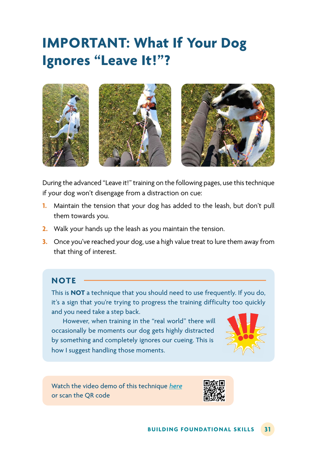 Stop Chasing: A Step-By-Step Guide to Solving Dog Prey Drive (DIGITAL VERSION)