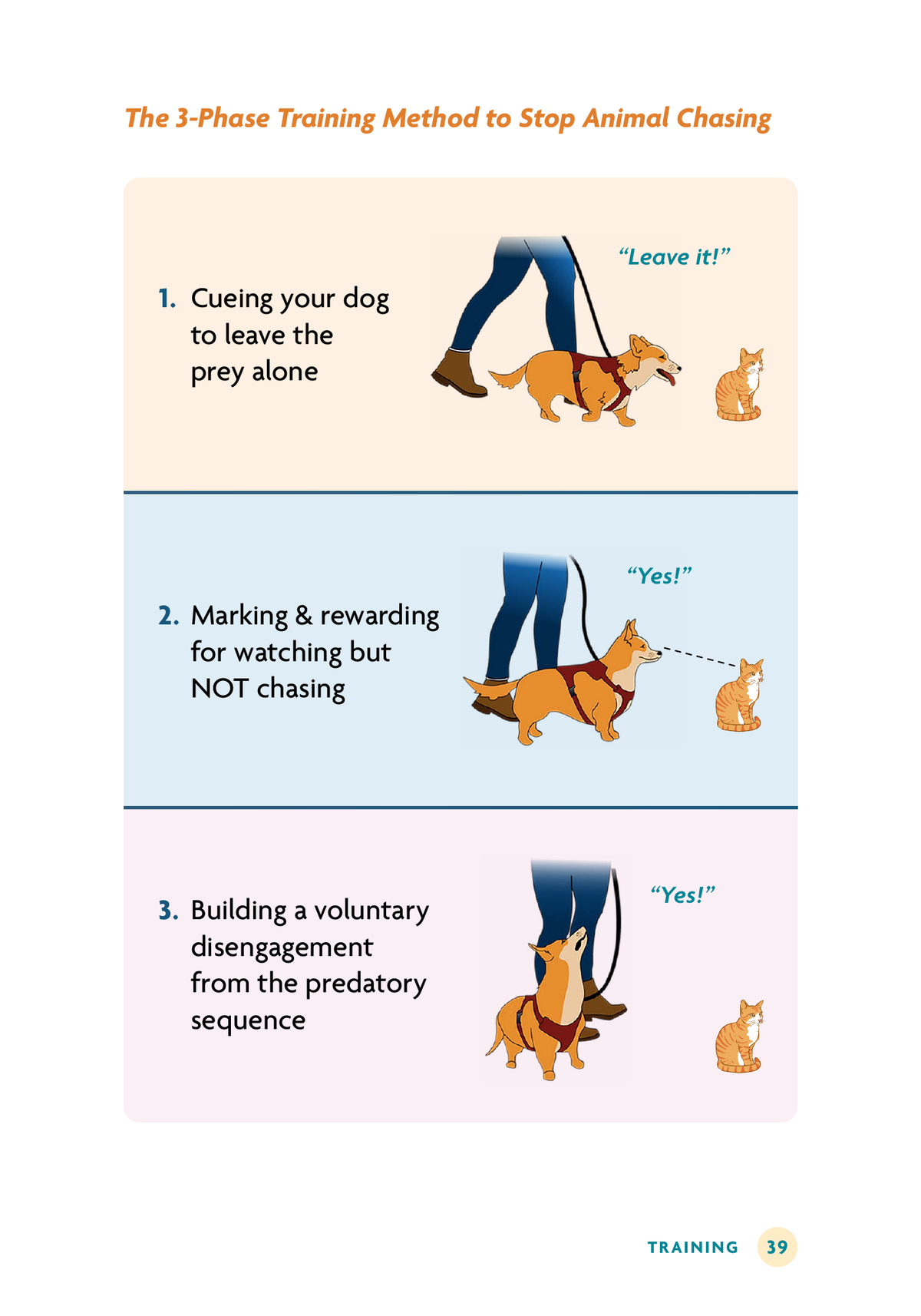 Stop Chasing: A Step-By-Step Guide to Solving Dog Prey Drive (DIGITAL VERSION)